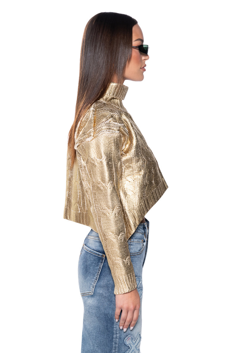 ESME METALLIC COATED TURTLENECK SWEATER