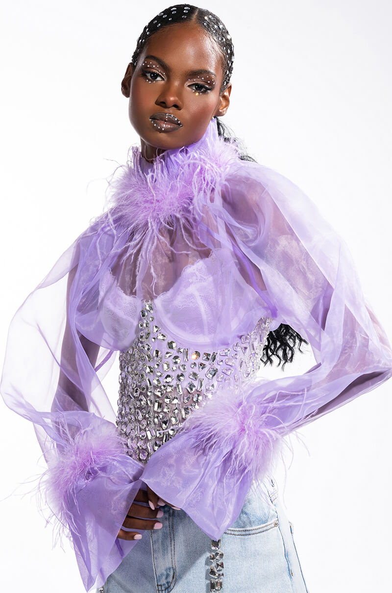NICE TO MEET YOU FEATHER TRIM LONG SLEEVE ORGANZA BLOUSE